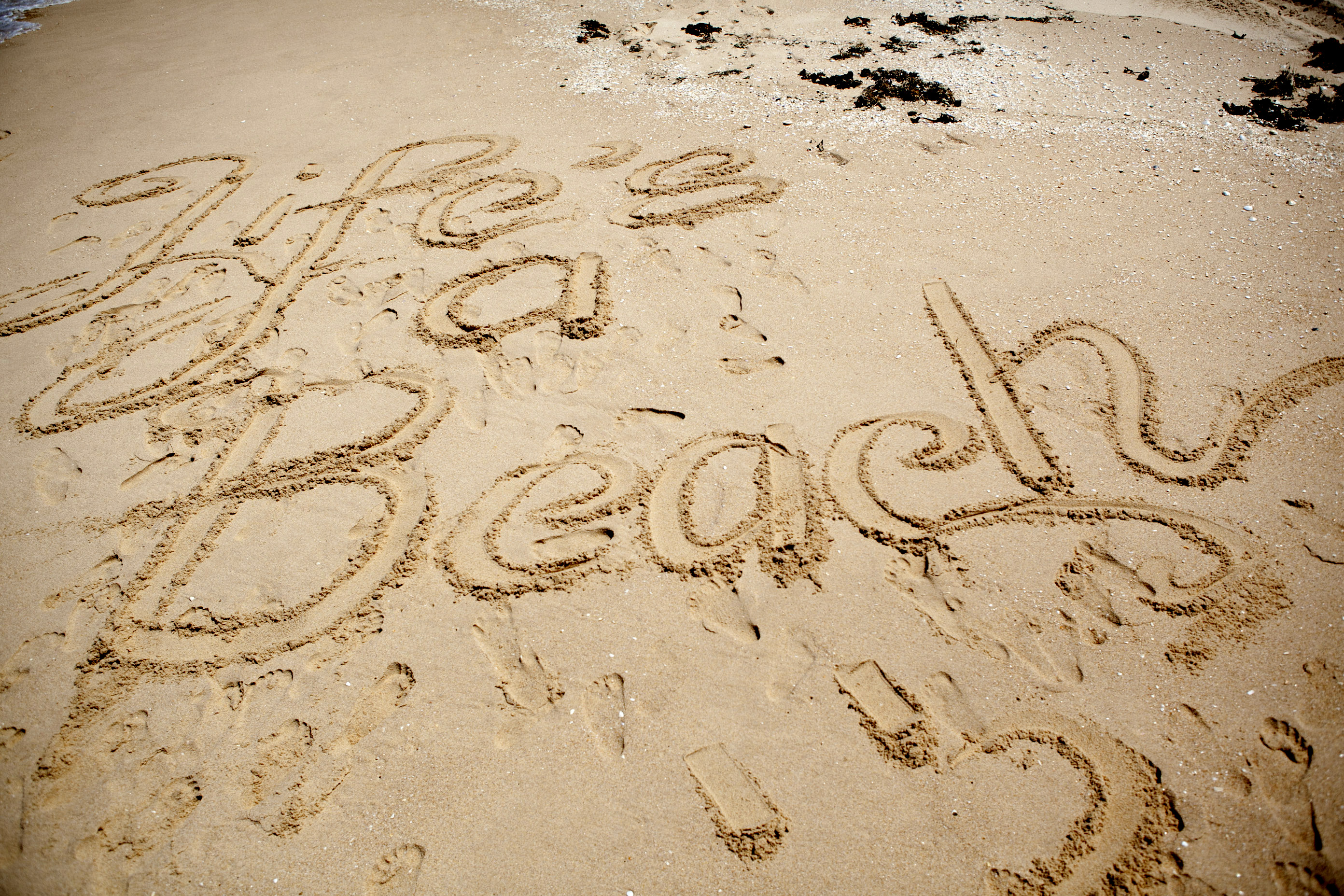 Life is beach. Пляж слово дизайн. Картинки разных Бич английских надписей. Цитаты про пляж. Рисунки Бич разные надписи и так далее.